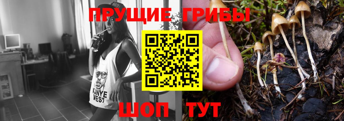 Южноуральск  купить   Вход с VPN  Псилоцибиновые грибы GOLDEN TEACHER 